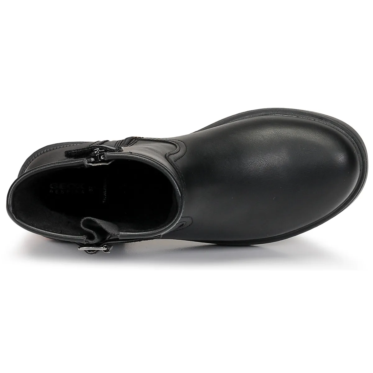 ECLAIR