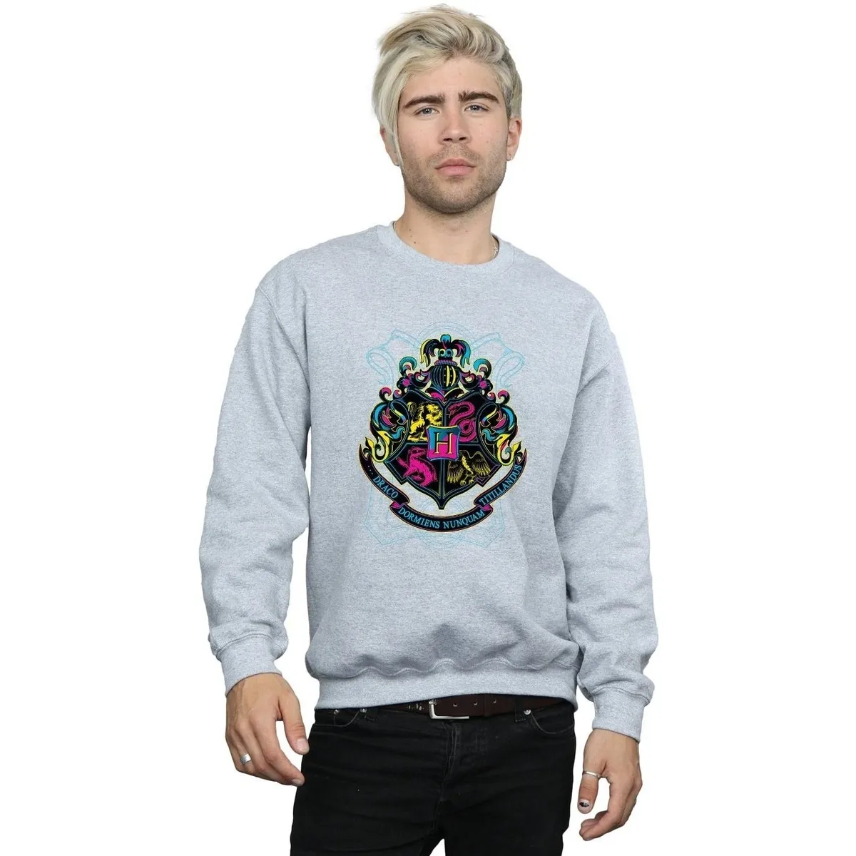 Neon Hogwarts Crest