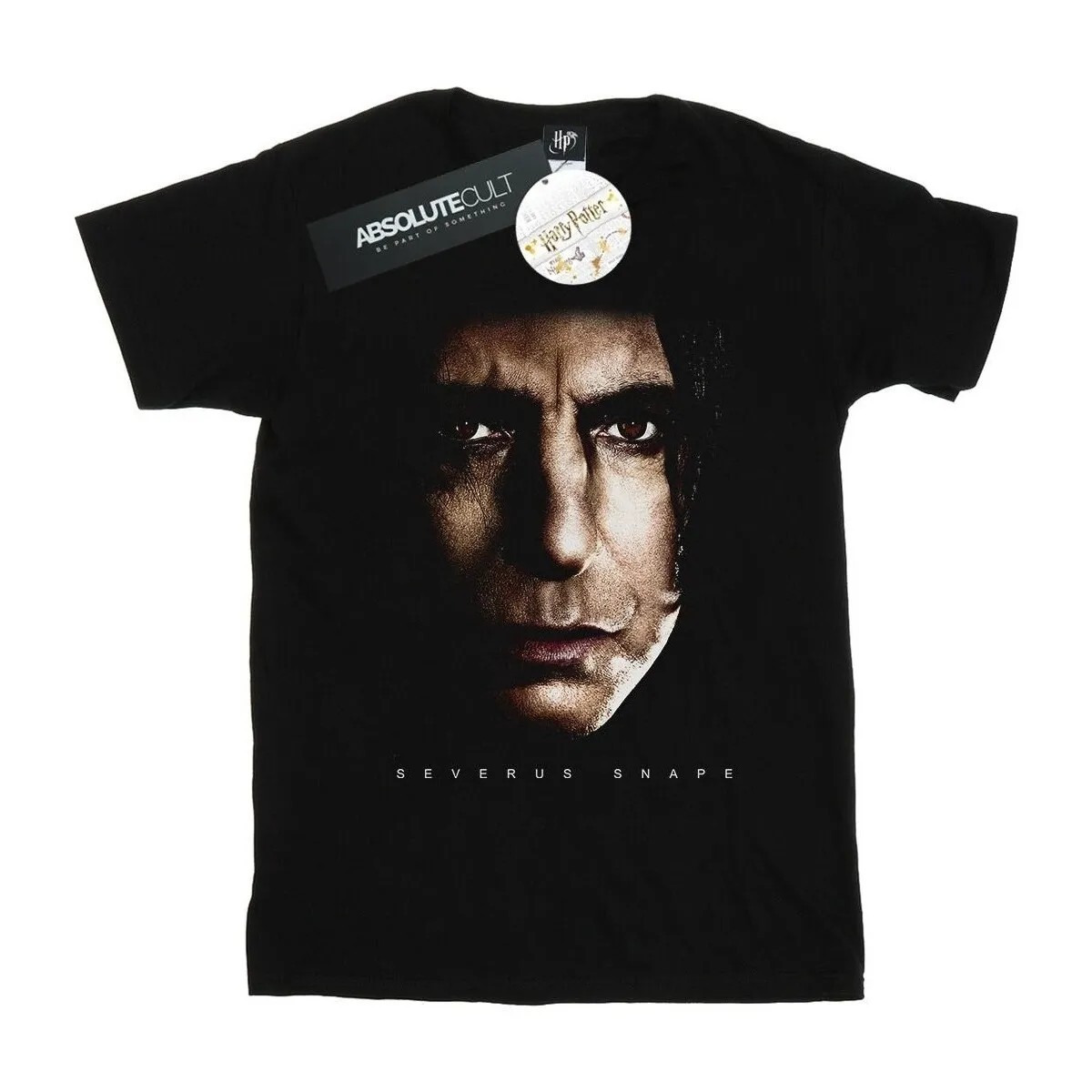 Severus Snape Portrait