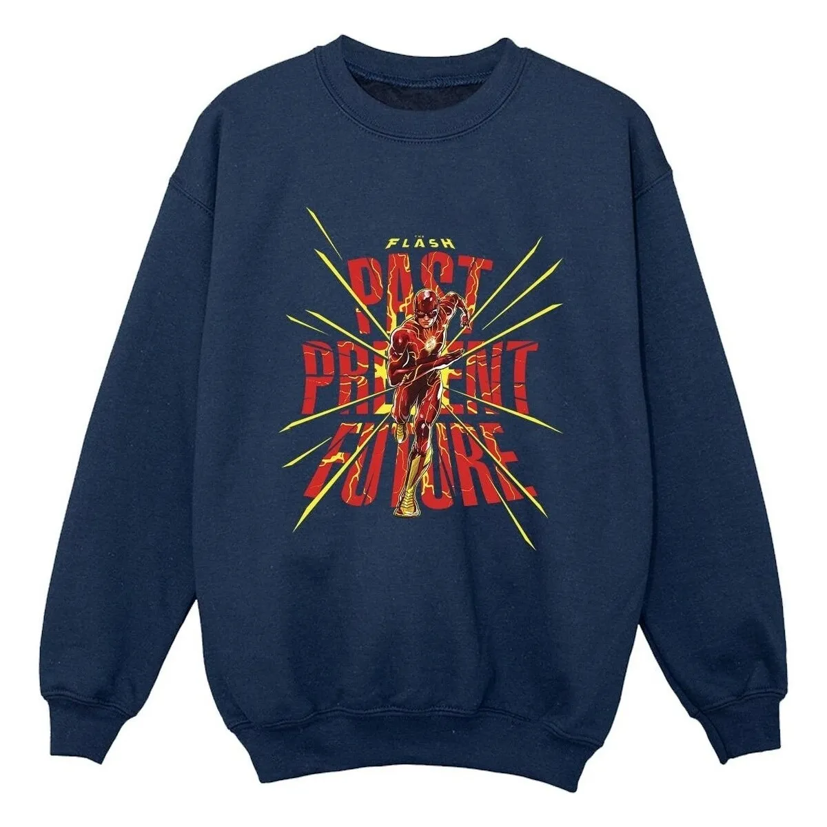 The Flash Past Present Future